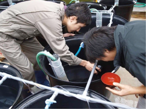 海産稚魚のサンプリング風景