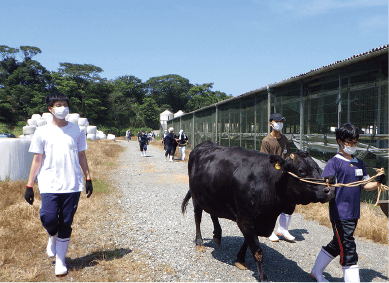 農業生産科学農場実習