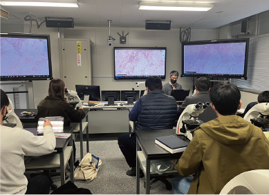 獣医病理学実習