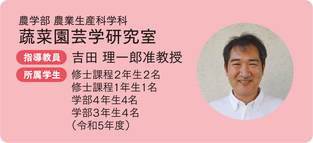 農学部 農業生産科学科 蔬菜園芸学研究室
