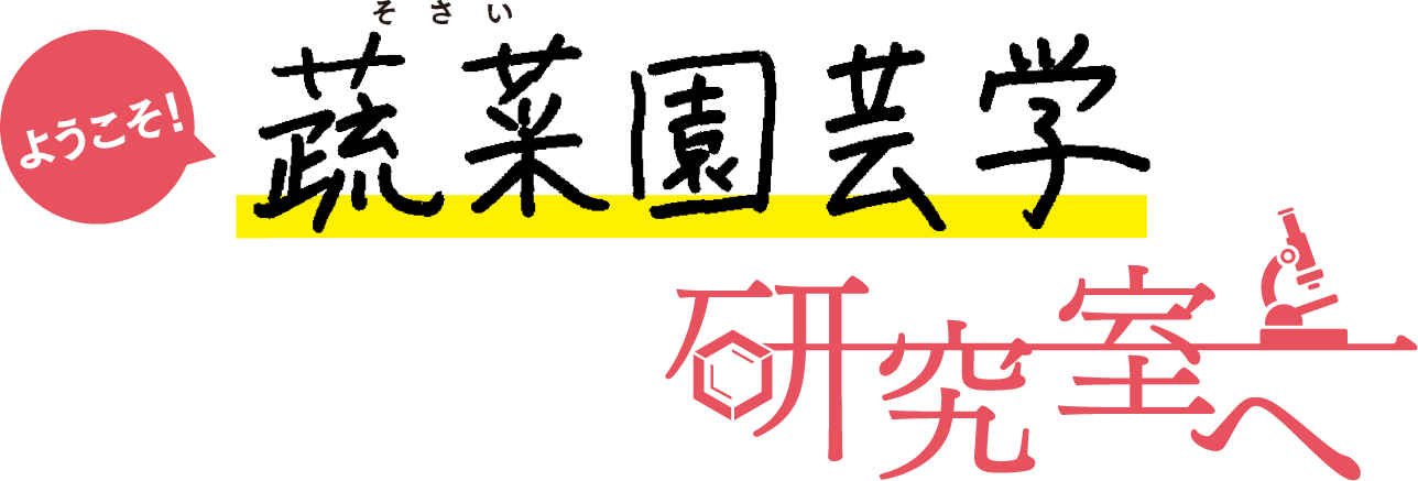 ようこそ！ 「蔬菜園芸学」研究室へ