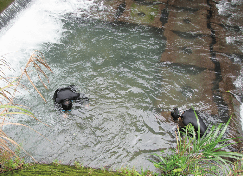 広海域水産乗船実習