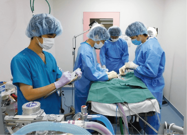 伴侶動物麻酔・手術学実習Ⅱ