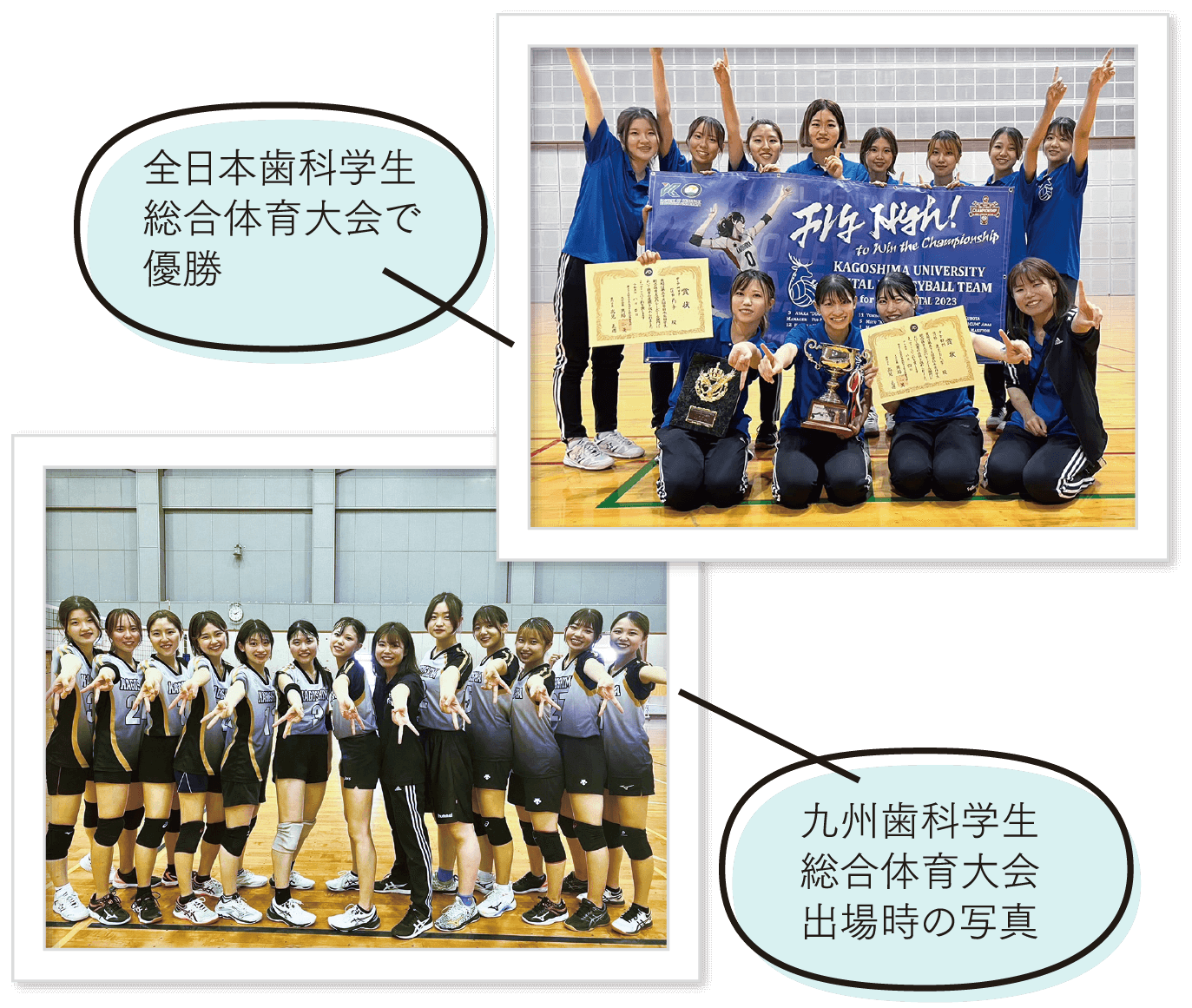 歯学部女子バレーボール部