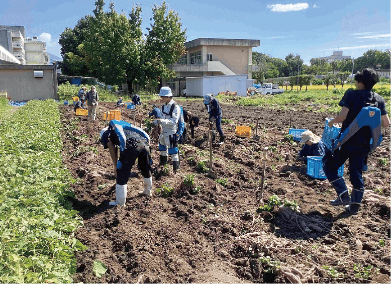 農業生産科学農場実習
