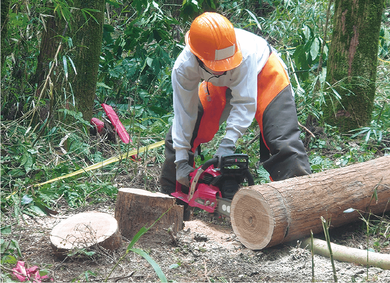発酵食品製造実習