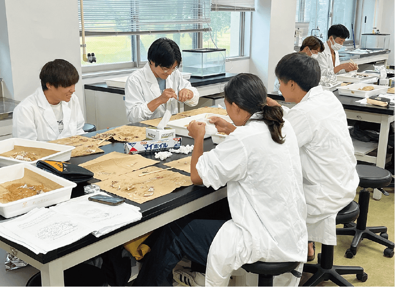 漁獲物船上処理乗船実習