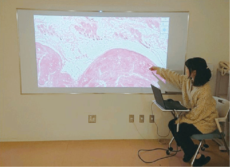 伴侶動物麻酔・手術学実習Ⅱ