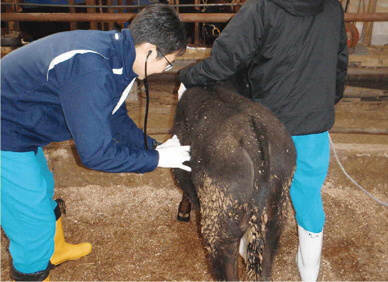 獣医病理学実習
