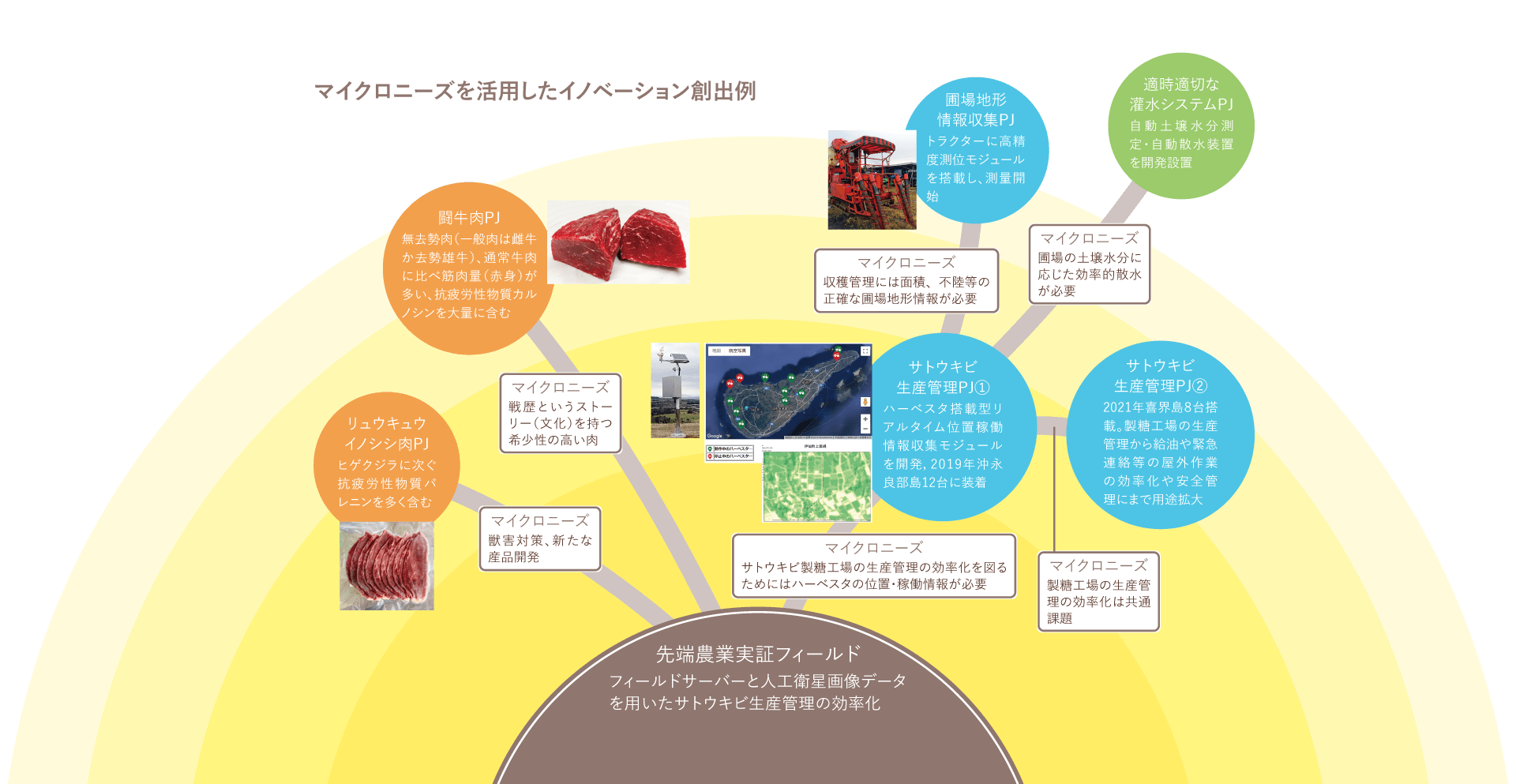 マイクロニーズを活⽤したイノベーション創出例