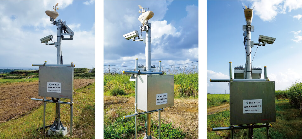 IoT先端農業実証ラボ