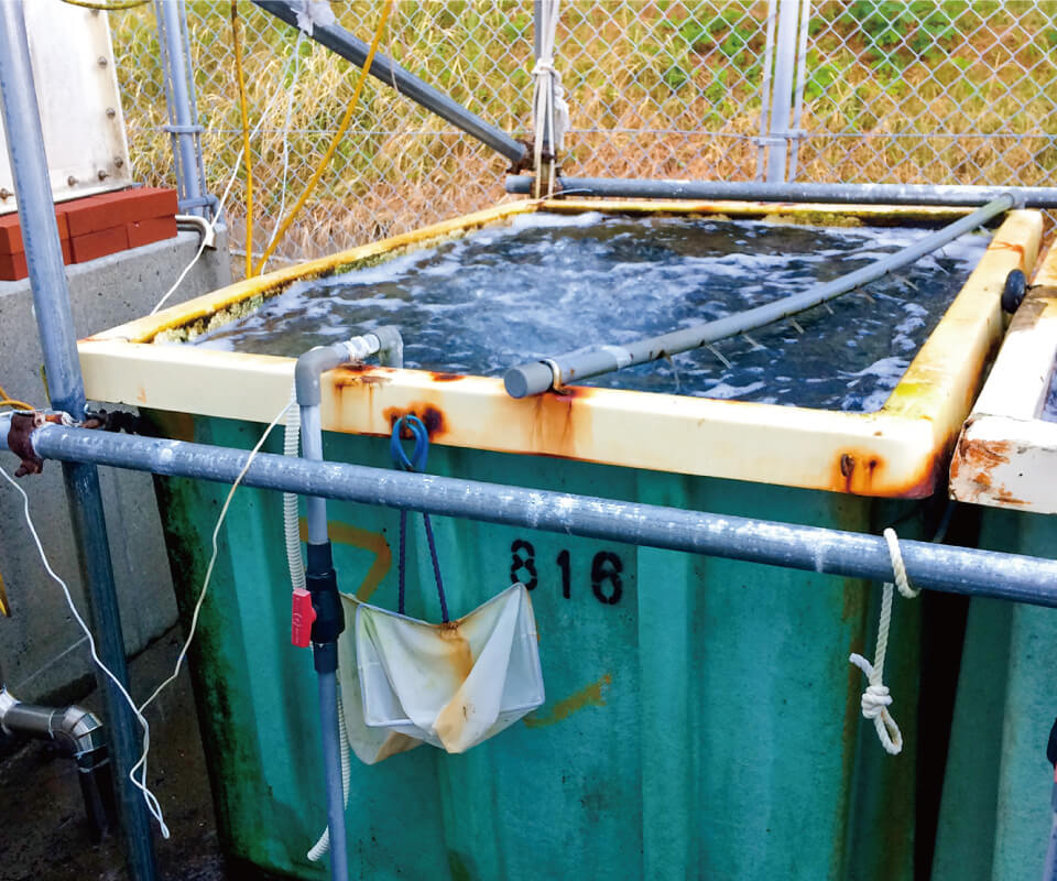 地域産品高度活用実証ラボ