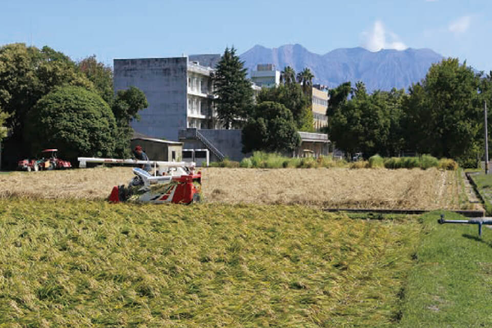 学内農場から望む