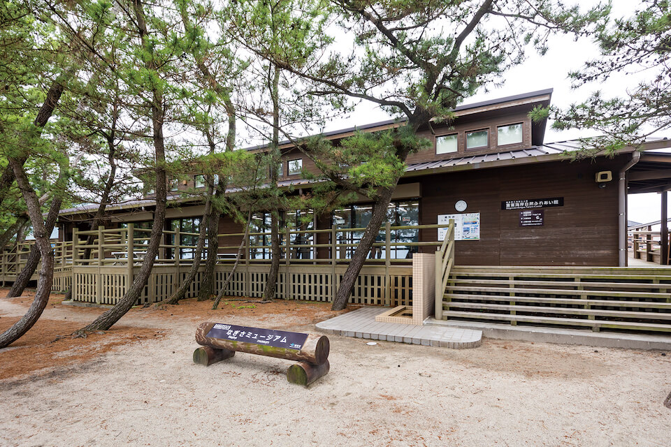 なぎさミュージアム