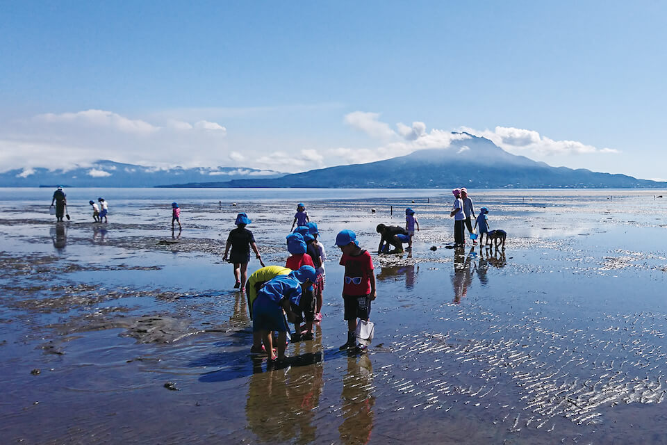 干潟、川、田んぼ、無人島など、様々な場所でエコツアーを行う様子