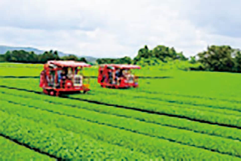 お茶生産の最先端ICTを導入した遠隔監視運転管理の実用