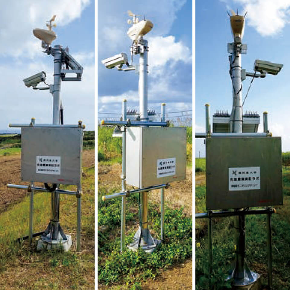 3町圃場に設置されたフィールドサーバ 左:徳之島町 中:天城町 右:伊仙町