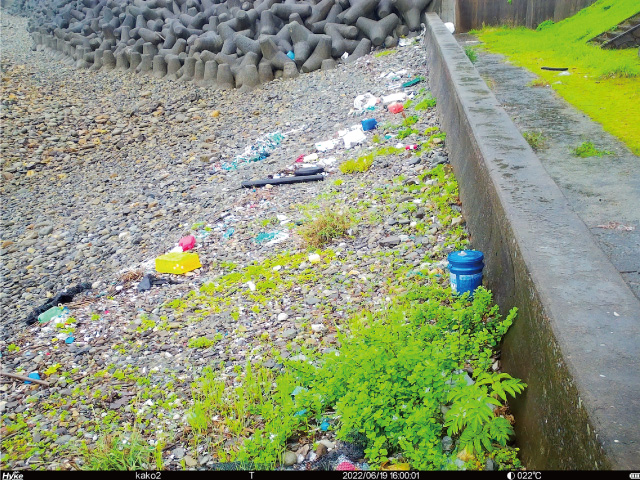 オリジナル画像