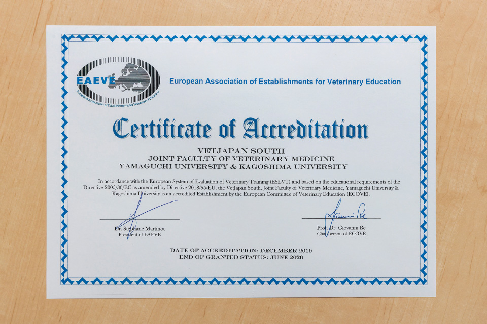 認証取得は、獣医教育の国際化を目指し取り組んできたおよそ10年間の努力の結晶