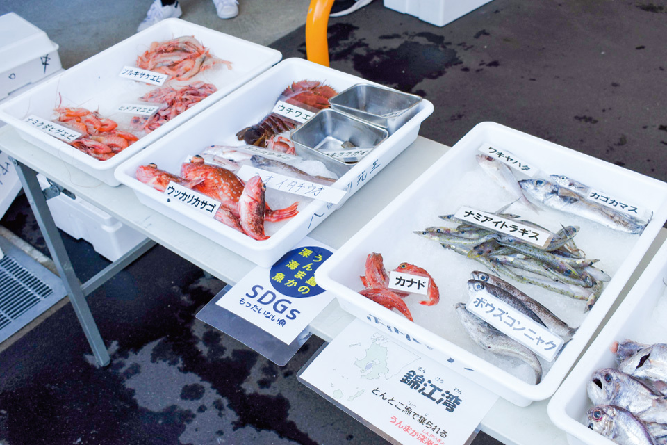 魚介類の宝庫で起きている「もったいない」