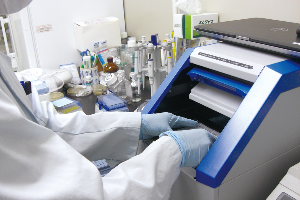 移植臓器や再生医療によって創出した細胞・臓器の長期間の有効性・安全性評価(MHC適合間移植)