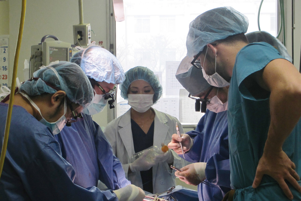 ヒトへの移植に適したサイズのミニブタを用いた遺伝子改変ブタの作出