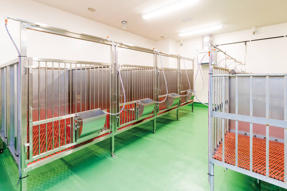 医用ミニブタ・先端医療開発共同研究部門