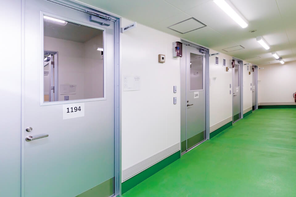 動物管理・小動物研究推進部門