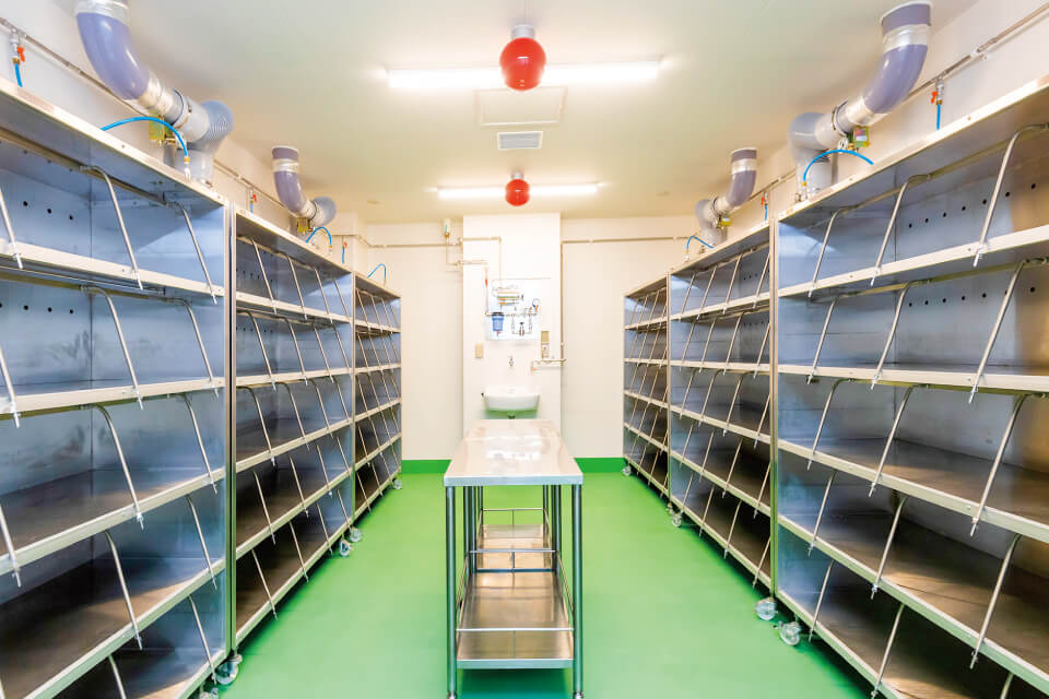 動物管理・小動物研究推進部門