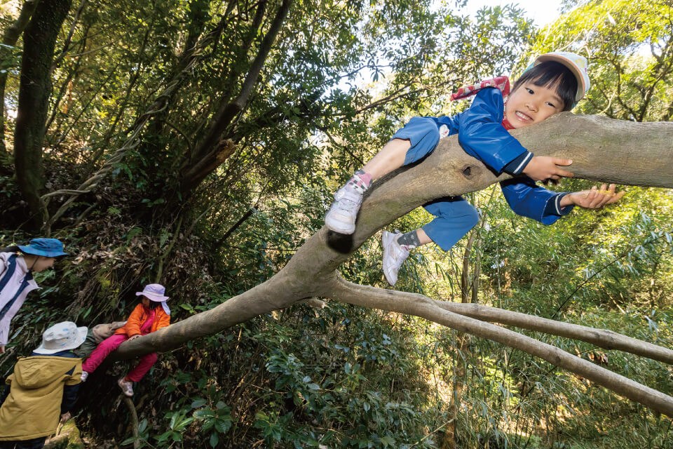 かごしま森のようちえんの様子