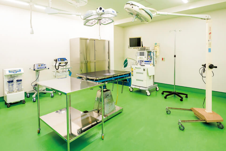 大動物研究推進部門