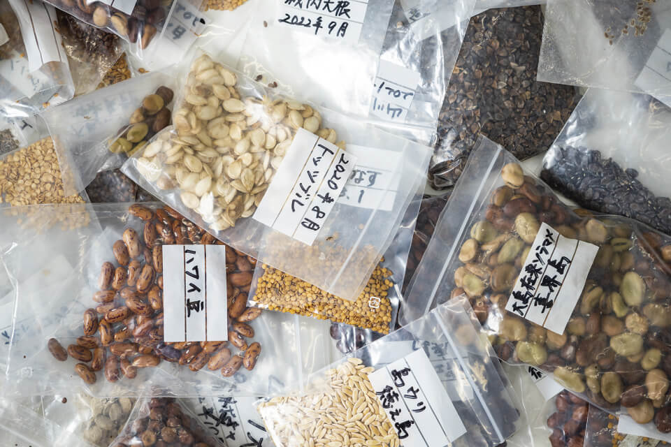 集落の神社の掃除や草刈りをしてようやく分けてもらったり、通りすがりに偶然見つけたりして集めた伝統野菜のタネの数々