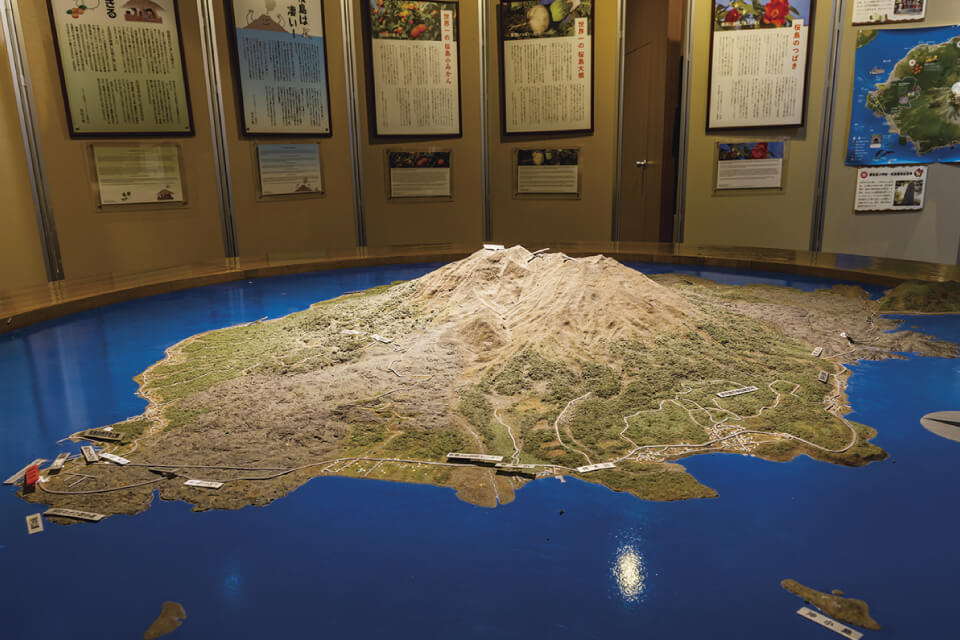 上空から見た桜島全景。東側・西側で地形の特徴や産業、暮らしが異なる。