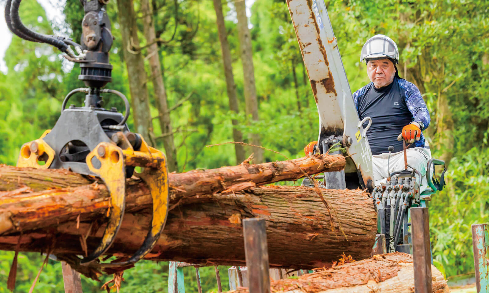 100年の歴史を持つ高隈演習林にはスギやヒノキを中心とした人工林が1000ヘクタールあり、林業の素材生産システムなど森林管理に必要な知識を多面的に学ぶことができる