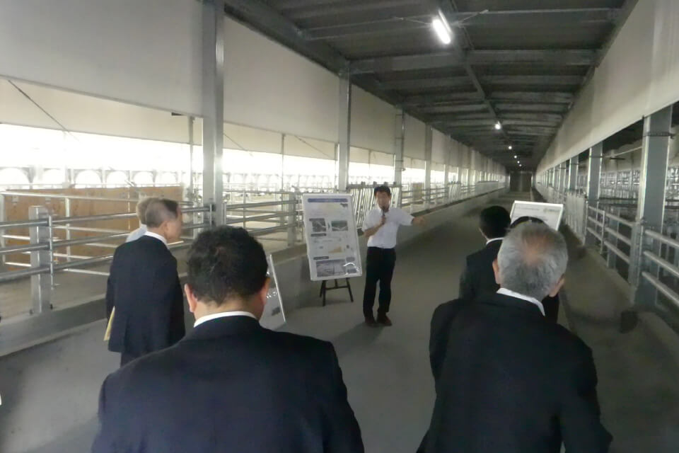 新たな換気方式を採用し、夏場にも十分な風速を確保し体感温度を快適にする次世代閉鎖型牛舎