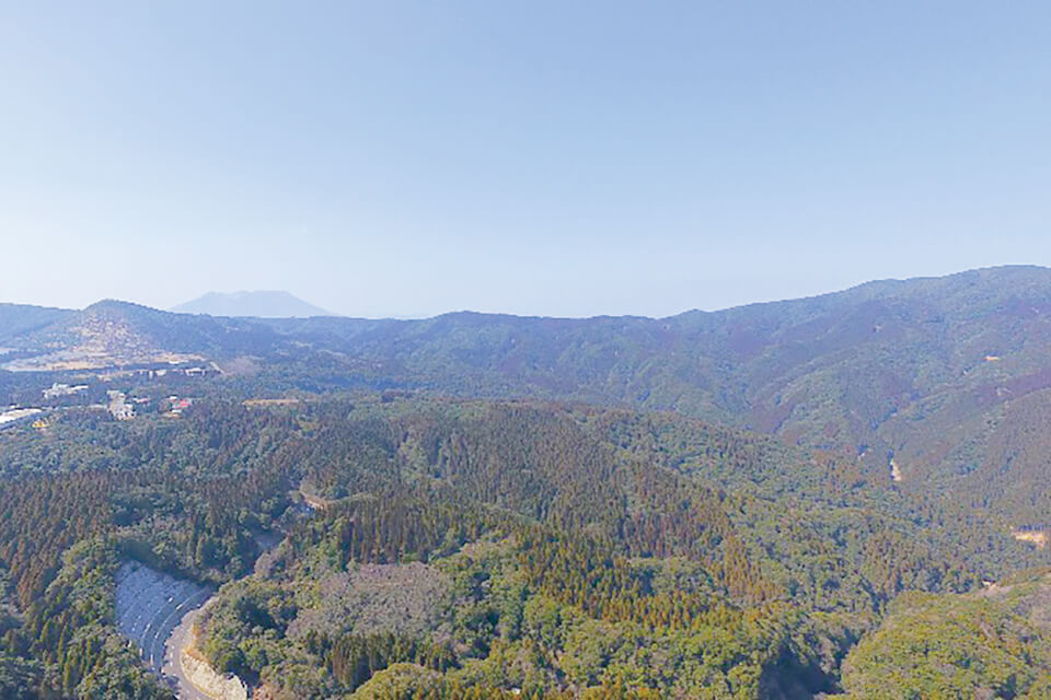 写真の範囲はほとんどが演習林。全体ではこの4倍以上の面積がある(左奥に桜島)