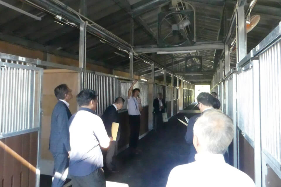 馬飼養施設には、廐舎、屋内馬場、屋外馬場、ホーストレッキングコースが整備される。写真は廐舎の概要説明の様子