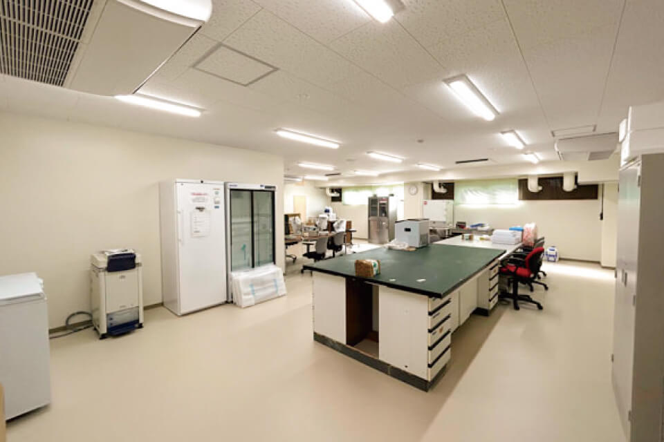 鹿大、奄美群島拠点奄美分室を整備