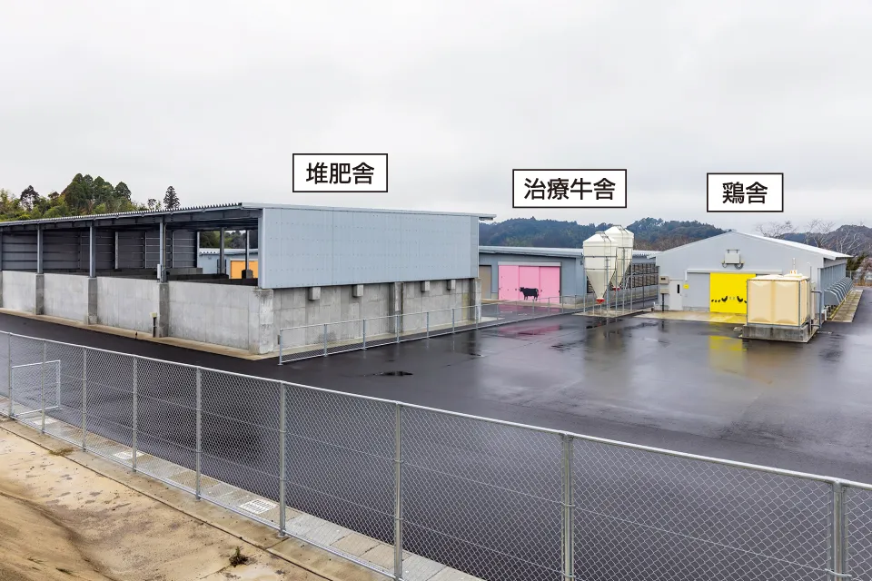 堆肥舎 治療牛舎 鶏舎