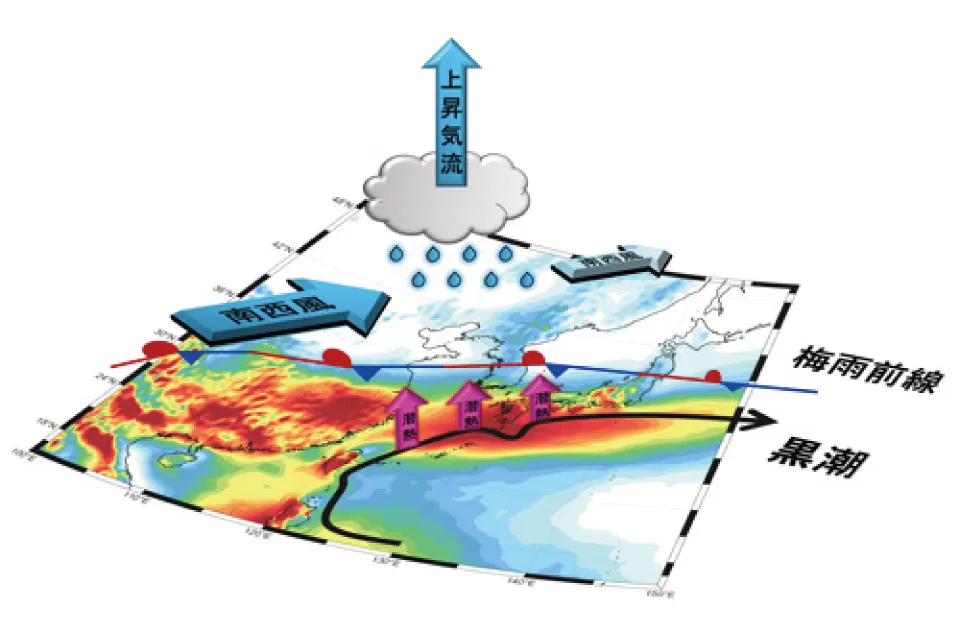 6月の梅雨前線は東シナ海の黒潮(黒線)に最も重なり、南西から吹き込んでくる高温・湿潤な空気塊が上昇気流を起こす。