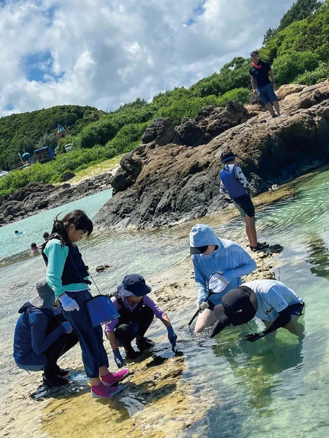 あやまる岬にて、奄美の海と磯の生きもの観察。