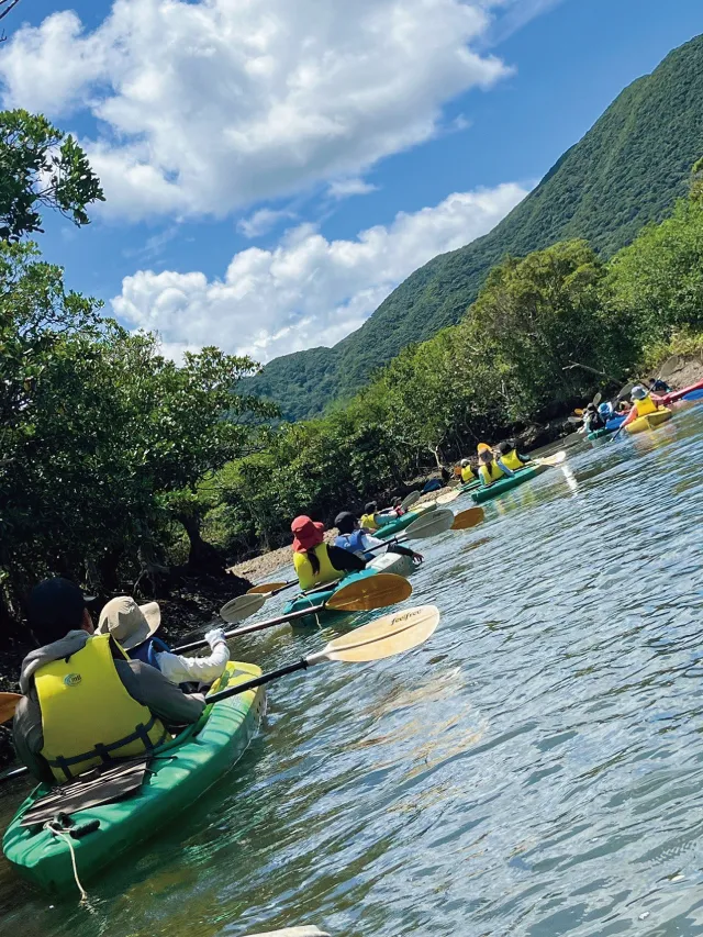 マングローブ林に囲まれた川は奄美の自然のパワーを感じました。