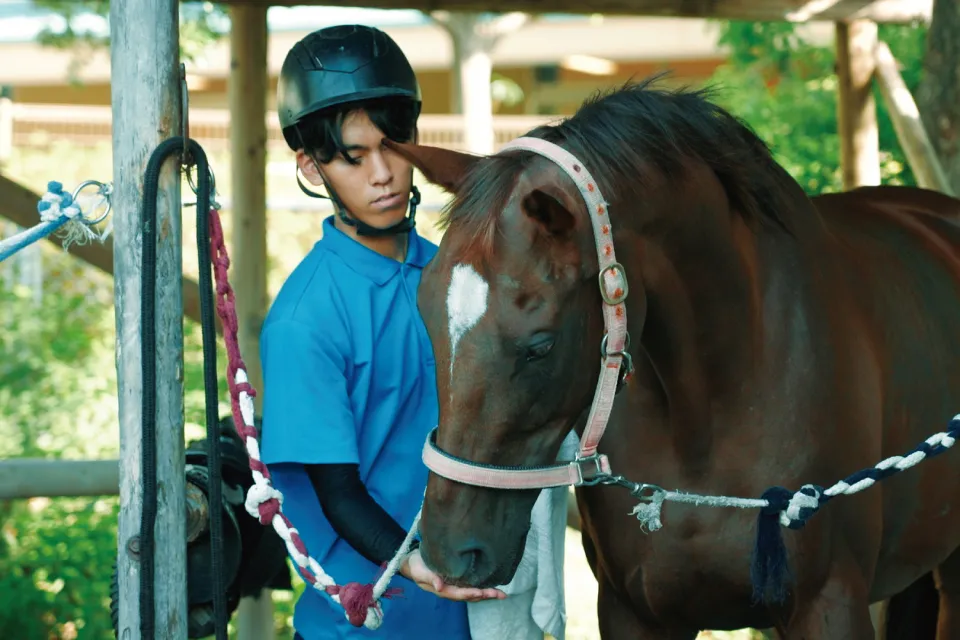 CircleFlix 馬術部 画像2