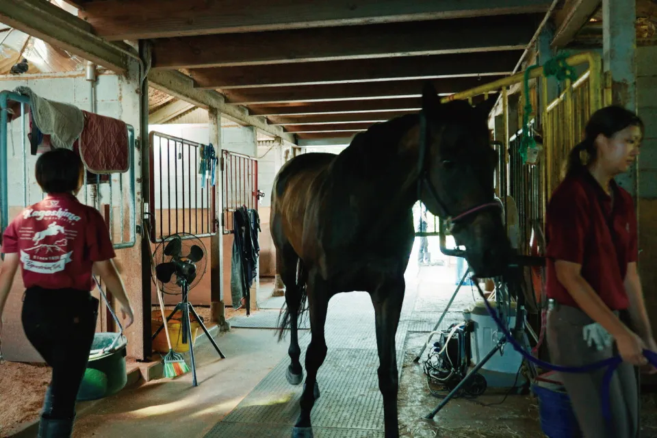 CircleFlix 馬術部 画像4