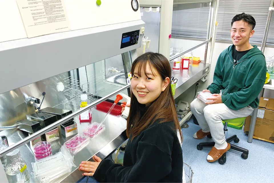 魚は他の実験動物よりもコストとスピード面で研究効率がよく、薬剤の作用機序の解明には魚やヒトの培養細胞を使用する。