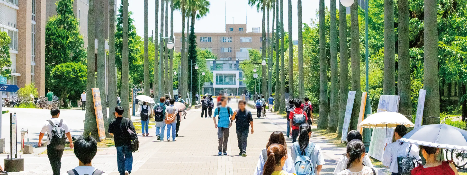 鹿児島大学 キャンパス内の風景
