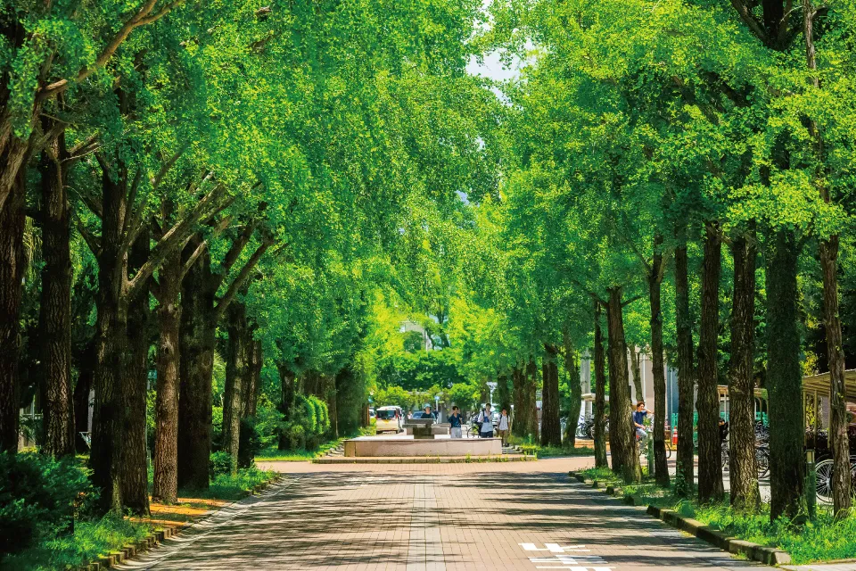 鹿児島大学 キャンパス内の風景2