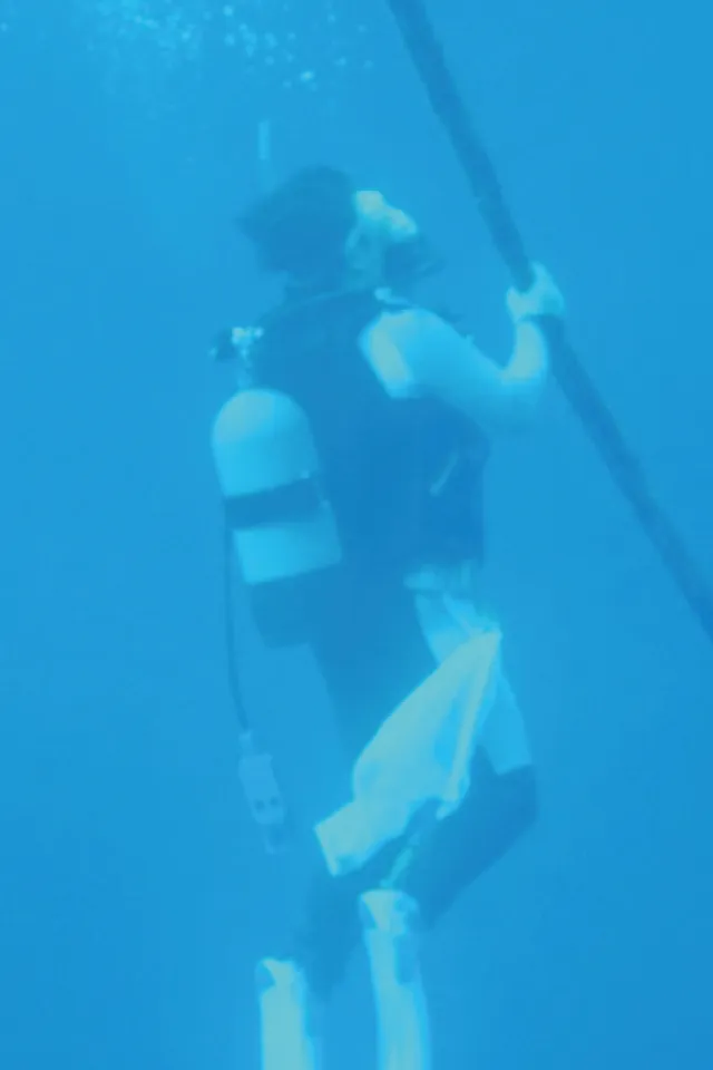 海洋生物採集の様子