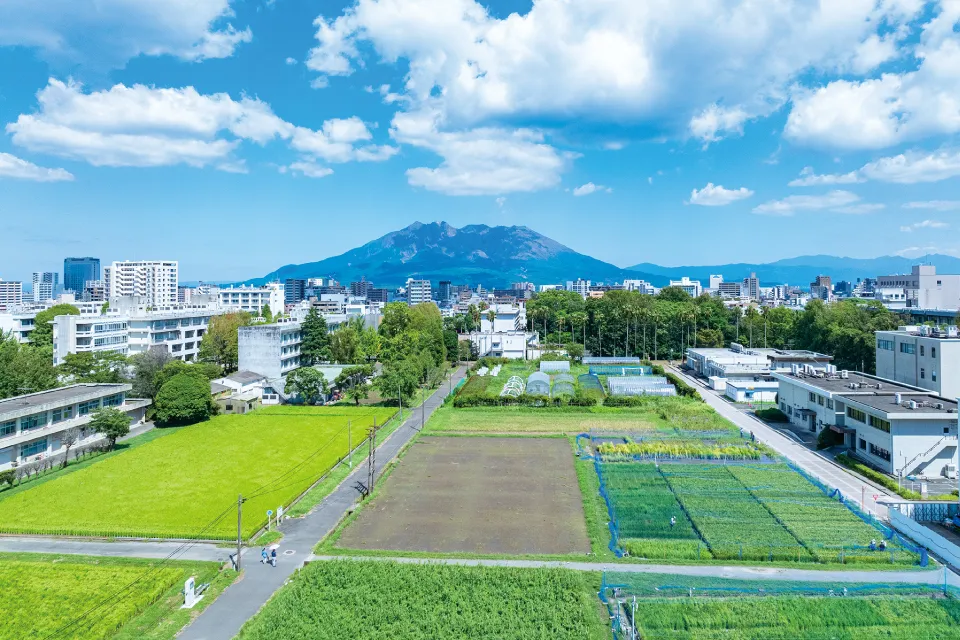 実験実習地(農場)
