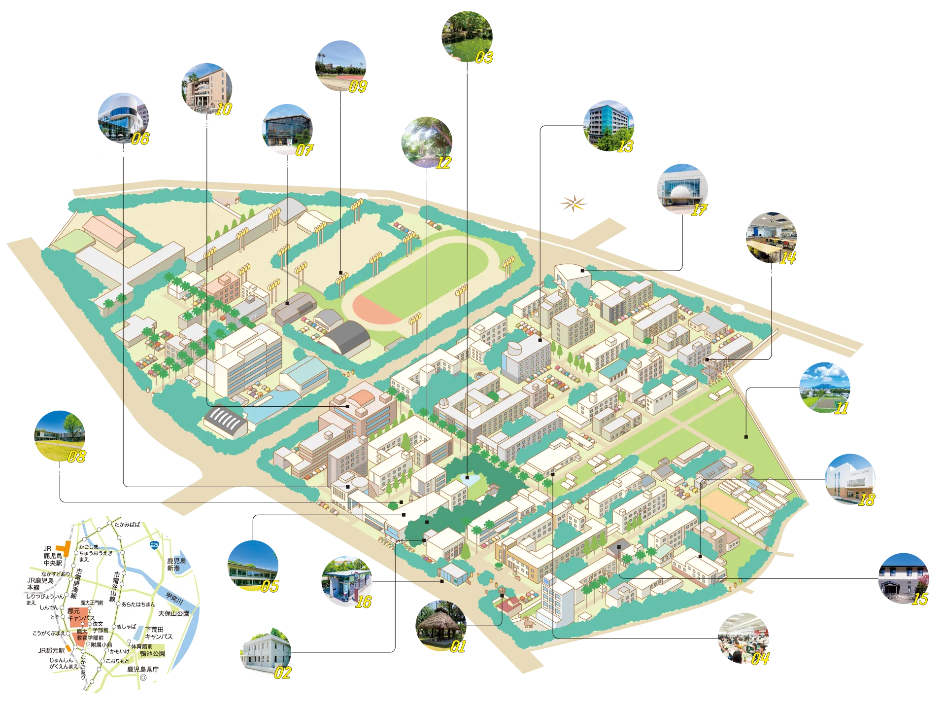 郡元キャンパス 地図